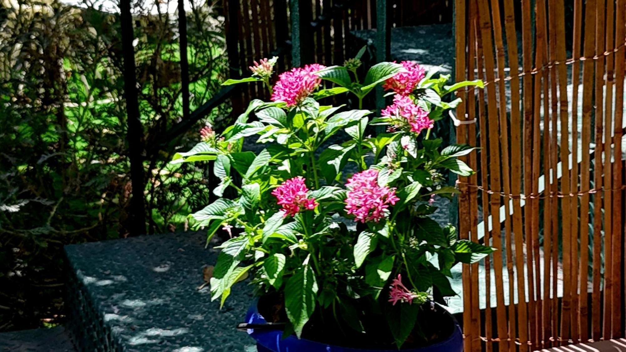 소렌토 Nonna Pia'S House 아파트 외부 사진
